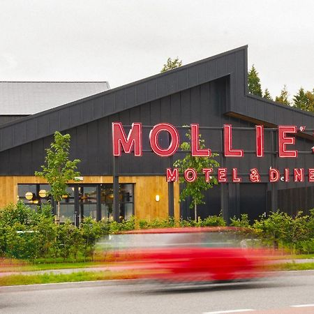Mollie'S Motel & Diner Bristol Buitenkant foto